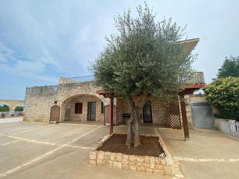 Villa Coco Monopoli Zewnętrze zdjęcie